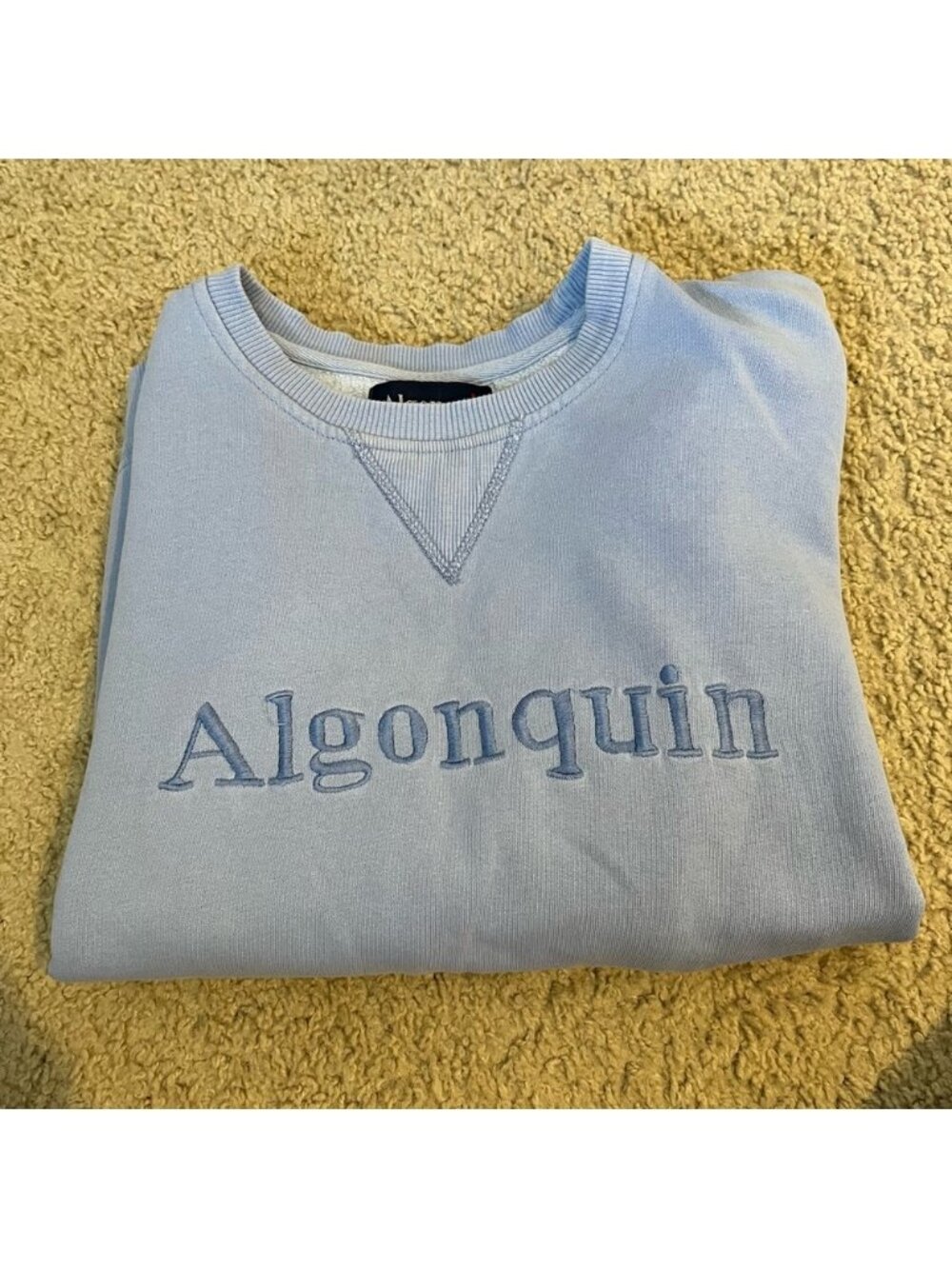 5/$25 Vintage Crewneck Algonquin Purple Blue Youth 14-18 Women S-M Hole Underarm